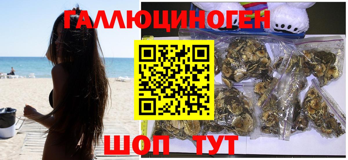 Псилоцибиновые грибы GOLDEN TEACHER  Псилоцибиновые грибы Psilocybine cubensis  Вход с VPN  Лесосибирск 