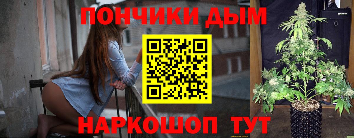 Шишки марихуана семена Лесосибирск
